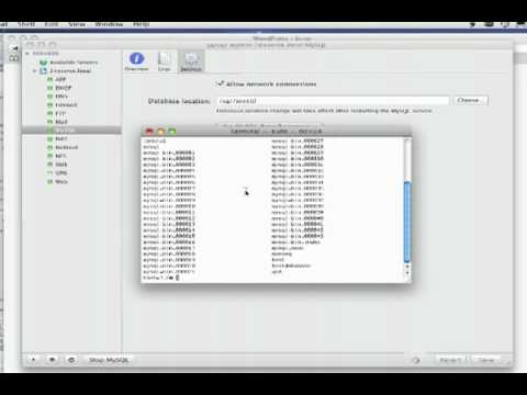 Wordpress Install on OsX Server - mysql database setup in terminal for linux and mac