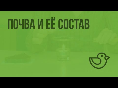 Видео: В солифлюкции почва медленно стекает вниз по склону?