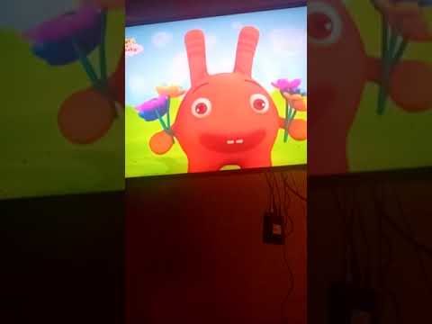 popiz | flores | baby tv