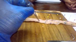 WP 20130708 200059Z