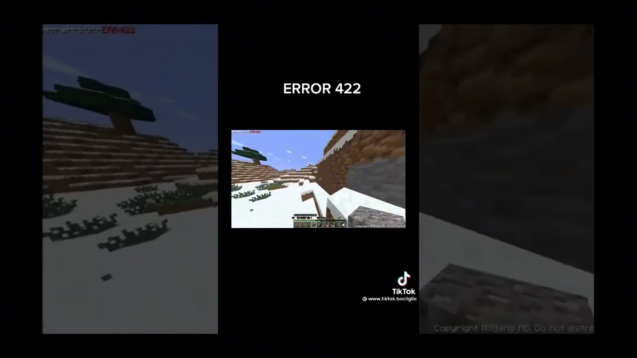 entity 0 in Minecraft