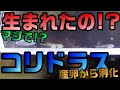 【アクアリウム】繁殖！コリドラスが卵から孵ってる～!?ど～しよ～、どーすりゃいいの？ブライン買えばいい？【くだ笑。】【趣味活】