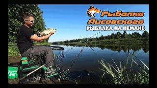 Утренняя фидерная рыбалка на Немане