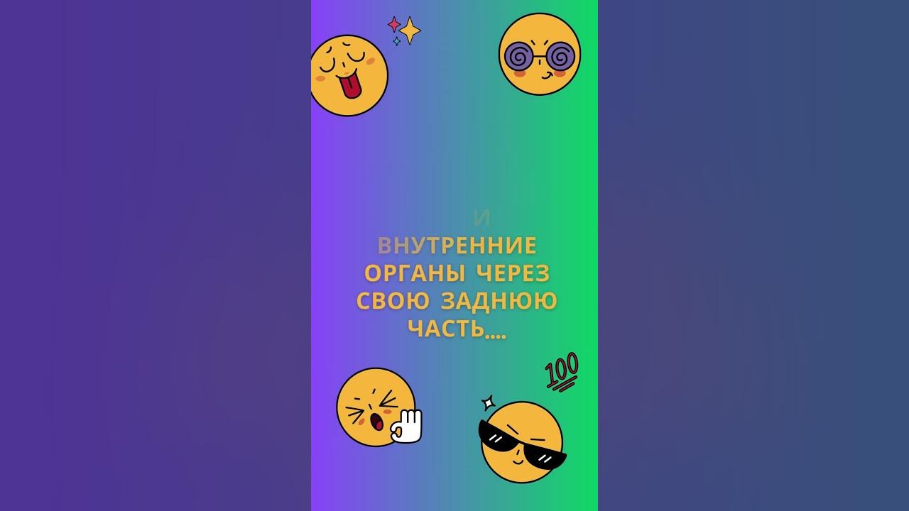 Морские Огурцы - YouTube