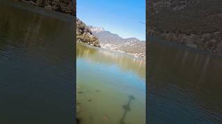 new vlog #video #viral #vlog