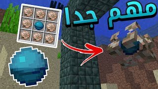 ما اهمية الكرة الزرقاء في ماين كرافت 1.13 ؟