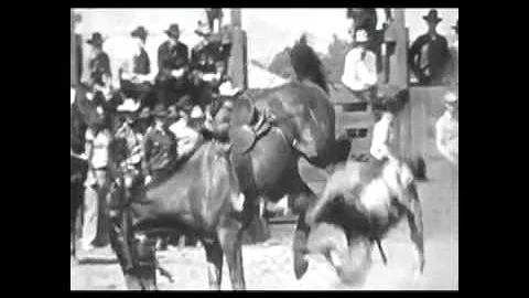 "Rodeo" by Don Stevenson