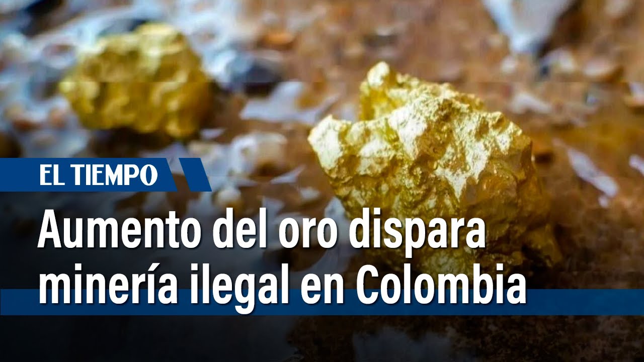 Aumento del oro dispara minería ilegal en Colombia | El Tiempo - YouTube