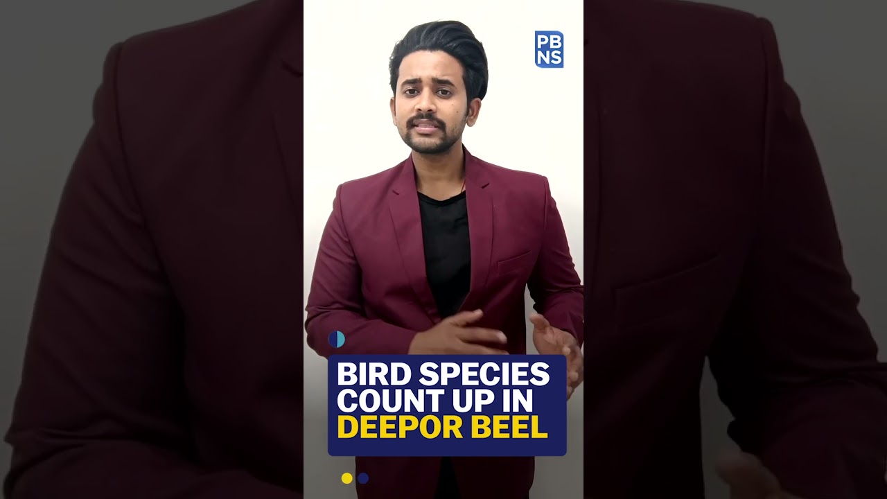 Bird Species Count Up In Deepor Beel