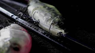 BASS FISHING from lake biwa.Guide service FLASH POINT.