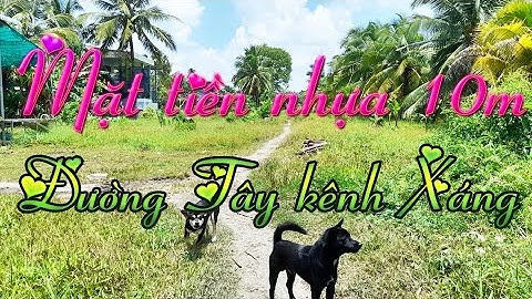ST006🌸❤️🌸 Đất mặt tiền đường nhựa Tây Kênh Xáng xã Song Thuận, Châu Thành, Tiền Giang