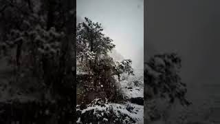 Snowfall at Gwaldam , Uttarakhand