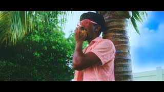 IMAGINE IF A MANGO FELL IN LOVE | A Shawn Wasabi Fan Video