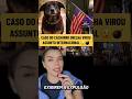 CASO DO CACHORRO ORELHA VIROU ASSUNTO INTERNACIONAL!?