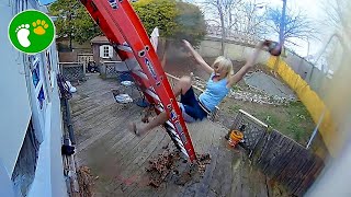 TOTAL IDIOTS AT WORK #5 | Fail Compilation 2024 by D - Animals Reunited 2,091 views 1 month ago 16 minutes