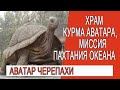 Храм Курма Аватара, миссия пахтания океана!