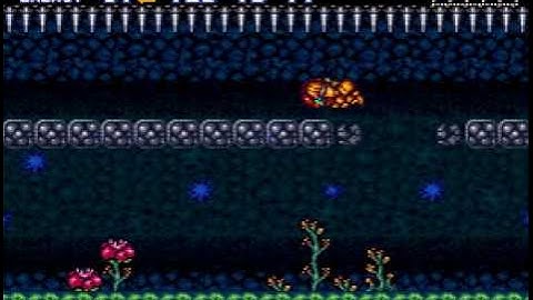 Noob Bridge Without Run Button