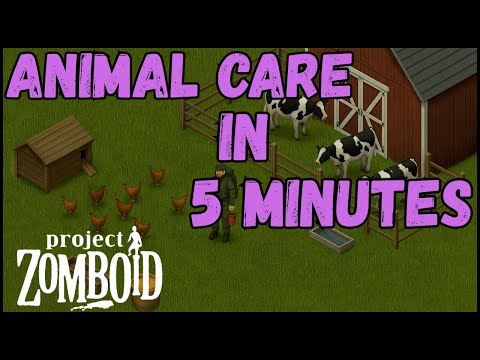 HOW TO: Animal Care in 5 Minutes - Cows and Chickens In Project Zomboid Build 42