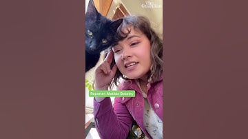 What does ‘net zero’ mean? #shorts