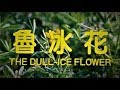 甄妮 & 兒童合唱《魯冰花》天上的星星不說話  地上的娃娃想媽媽 ... ♥ ♪♫*•