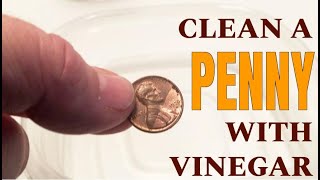 CLEAN A PENNY WITH VINEGAR Experiment