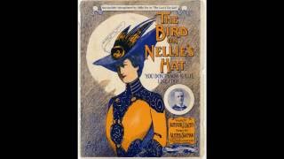 The Bird On Nellie's Hat (1906)