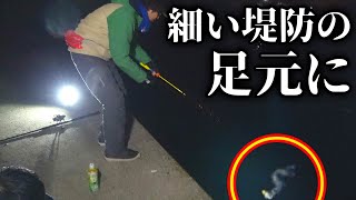 堤防の足元で高級魚を釣り上げろ！！