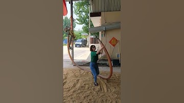 Flexible hose grain suction machine, with thick and thin pipes,