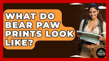 What Do Bear Paw Prints Look Like? - Exploring Campgrounds
