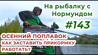 ОСЕНЬ и ПОПЛАВОК - как заставить ПРИКОРМКУ РАБОТАТЬ? / На рыбалку с Нормундом #143