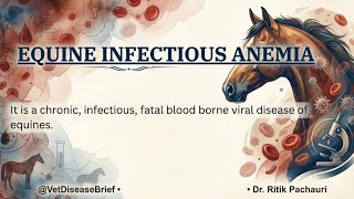 Equine Infectious Anemia (Swamp Fever) | Symptoms, Coggins Test & Treatment | Vet Disease Brief