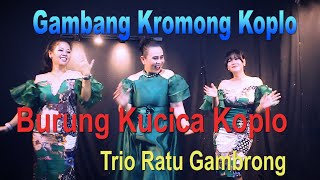 BURUNG KUCICA - TRIO RATU GAMBRONG