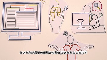 株式会社テラスカイ様：SkyVisual Editor 日本語版