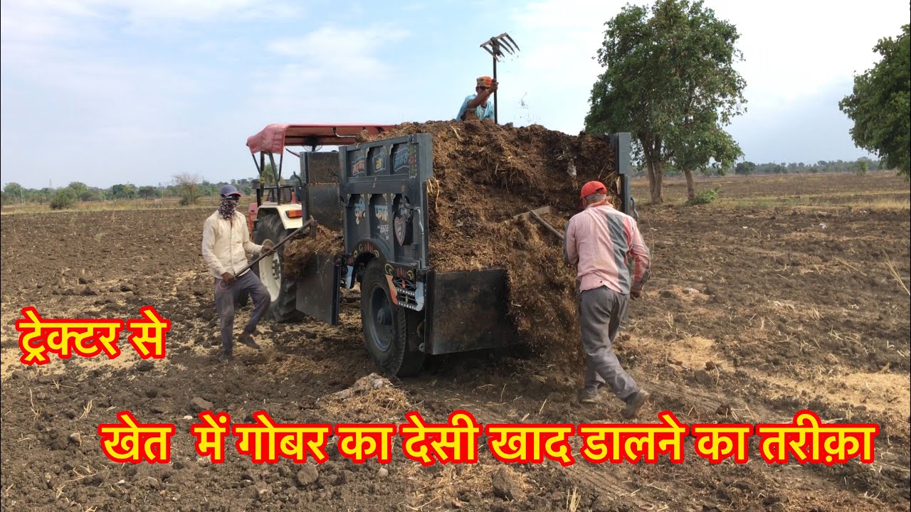 Tractor se gobar ka desi khad dalne ka tarika // गोबर का देसी खाद डालने