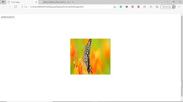 Crop Image in Visual Studio using HTML & CSS Tutorial.