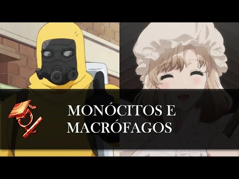 Hataraku Saibou / Cells at Work - Evoluções!!! (Ep. 9 e 10) 