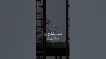 القارئ ناصر القطامي | سورة إبراهيم