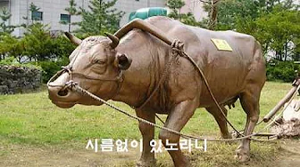 정선아리랑 ==김영임 정선아리랑 ==김영임