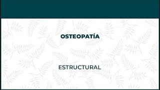 Osteopatía Estructural - FisioClinics Logroño, La Rioja by FisioClinics Logroño 3,384 views 4 years ago 2 minutes, 31 seconds