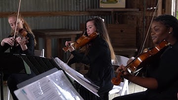 Home, Edward Sharpe & The Magnetic Zeros -The Sienna String Quartet