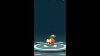 Bidoof To Bibarel Evolution Pokemon Go Gen 4