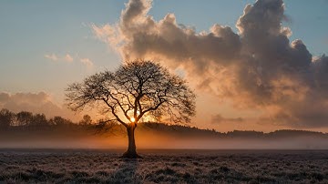 Atom Sessions - Fonte ( PsyChill Ambient 2018 )