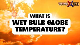 What is Wet Bulb Globe Temperature