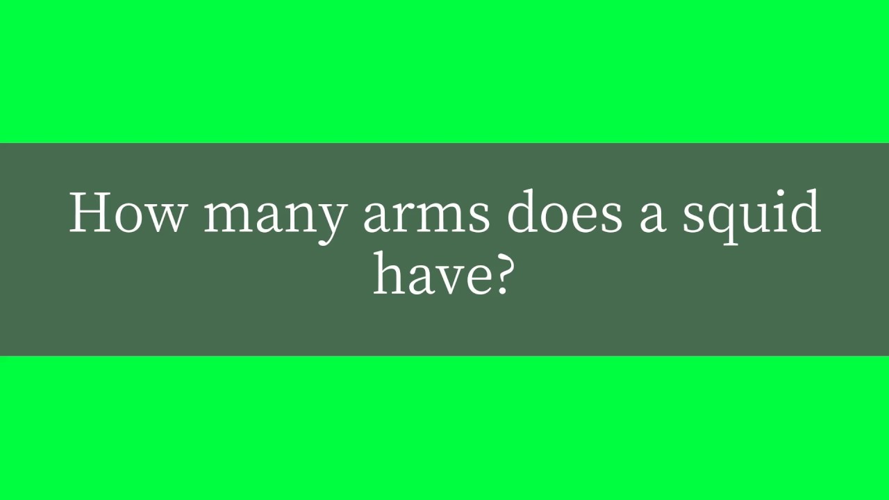 How Many Arms Does A Squid Have YouTube