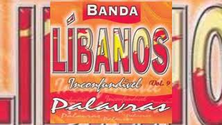 Brigas | Banda Líbanos | forró das antigas