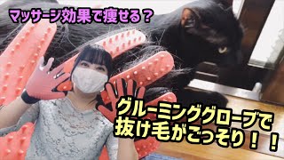 グルーミンググローブが凄い！猫の抜け毛ごっそり&マッサージで思わぬ効果が！！black cat nekota Grooming gloves