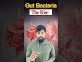 Gut Bacteria - The Rise | Nutripolitics|#shorts #guthealth #mindset #healthylifestyle #gym #disease