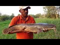 Fish hunting || Amazing fishing catching the incredible monster cat fish