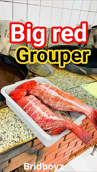 Fry big red grouper #feedshorts #short #viralvideo #like #reels #subscribe #trending #friedfish