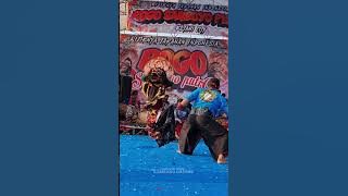 Solah Barong Sadewa Rogo Samboyo Putro#solahbarong#rampakbarong#short